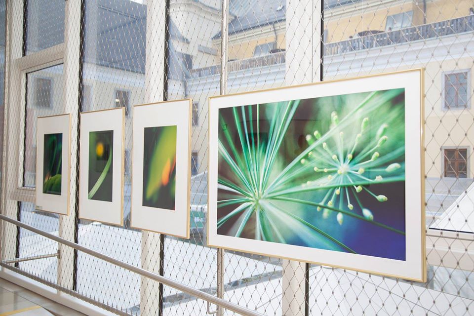Fotografische Gesellschaft OÖ in Linz