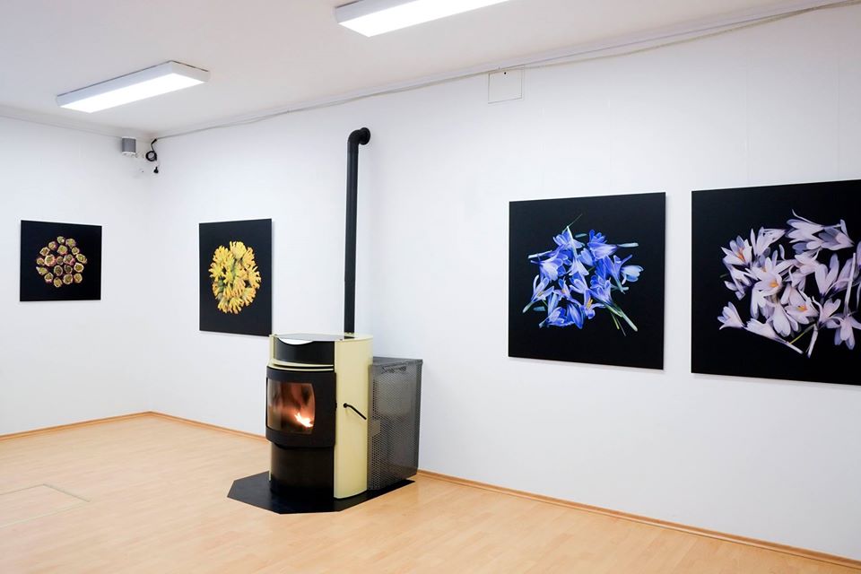 Galerie 59 in Klagenfurt